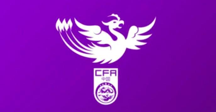 专业bw必威西汉姆联官方网站服务